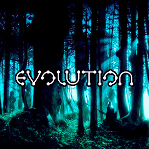 Обзор и особенности игрового слота Evolution